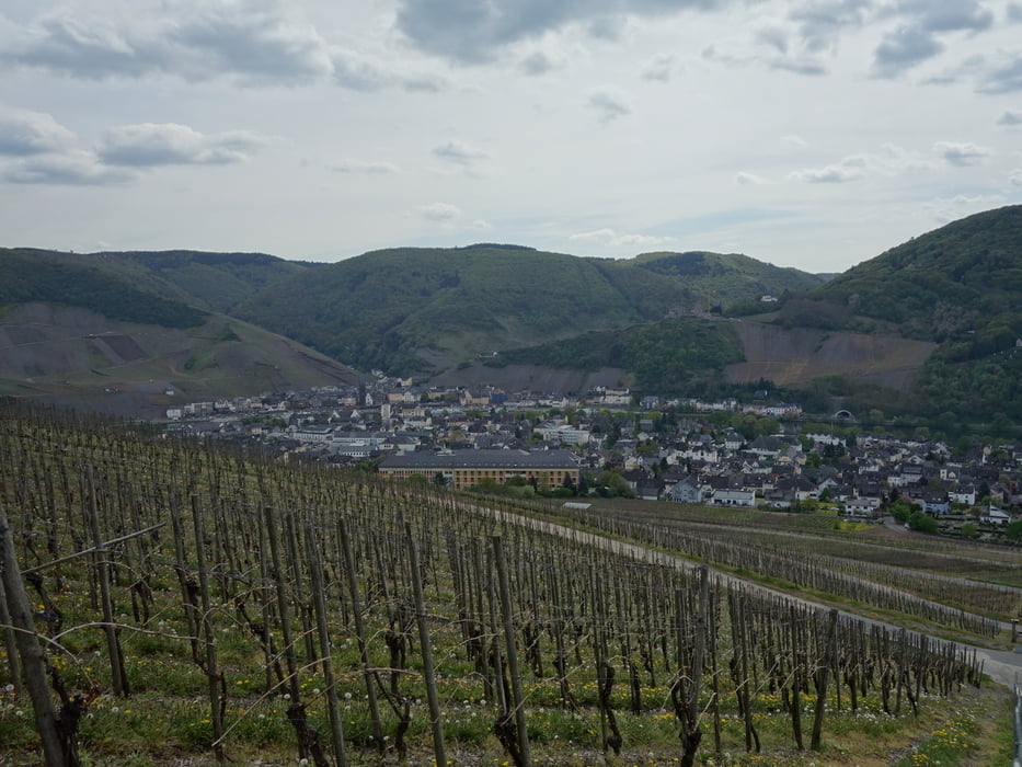 von der Kueser Höhe zur Burg Landshut