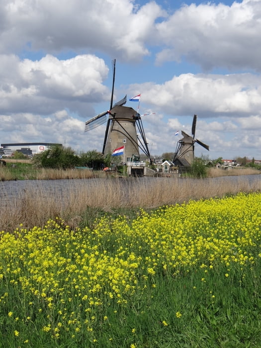 Wandeling bij Kinderdijk