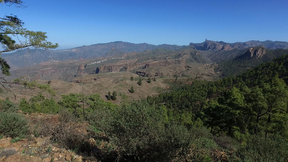 Wanderung im Naturschutzgebiet Pajonales