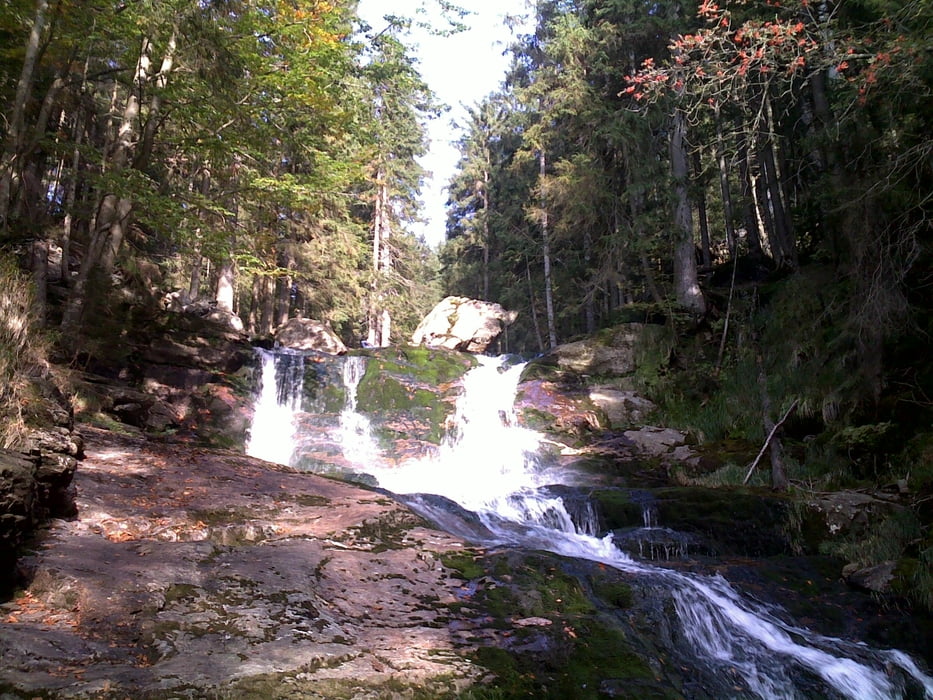 Großer Arber (1.456 m) über Risslochschlucht