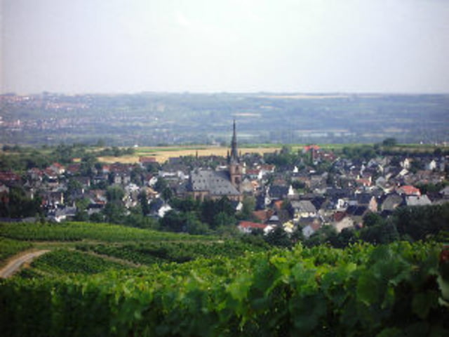 Rheingauer Tour 1