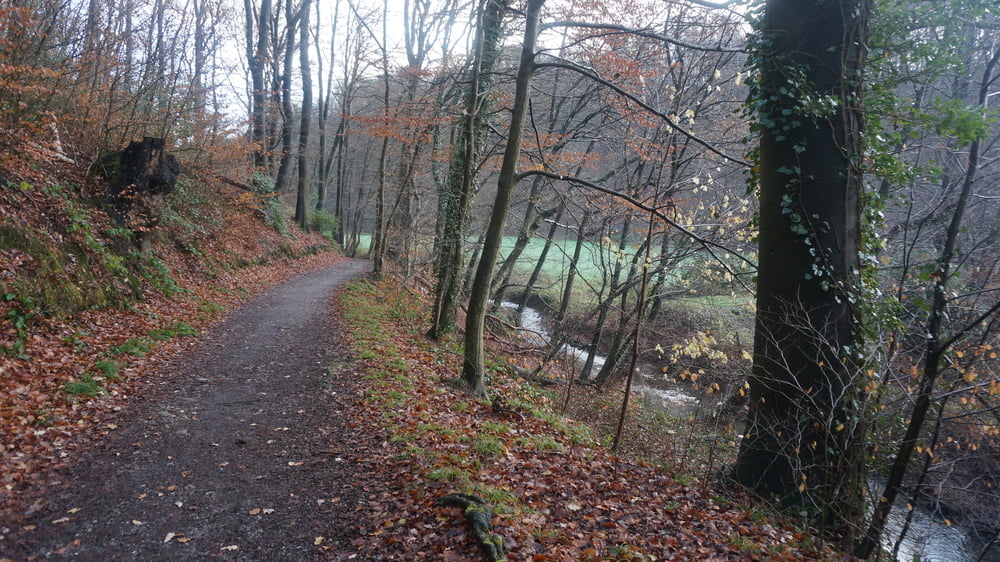 Rund um Leichlingen