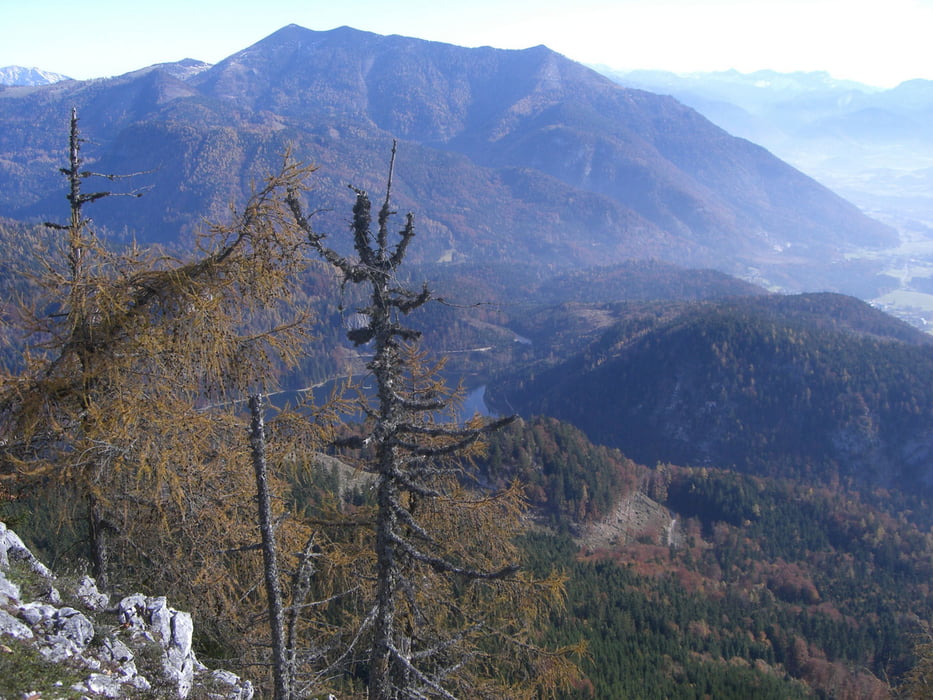 Vormauer-Sommeraustein St. Wolfgang