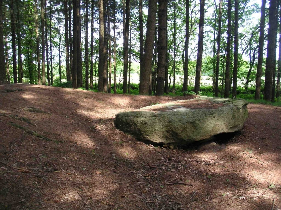 Die Treene-Marsch