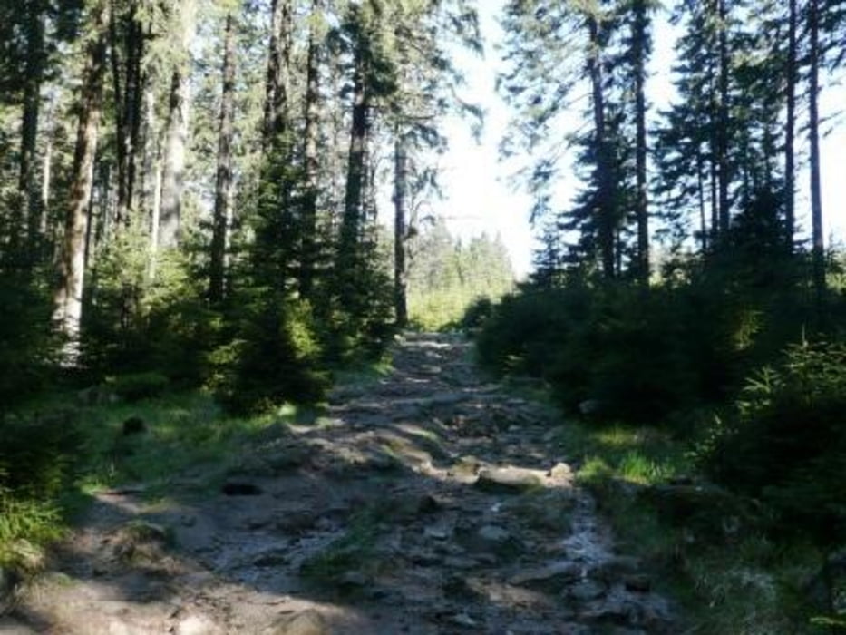 Rundwanderung Schierke-Brocken-Schierke