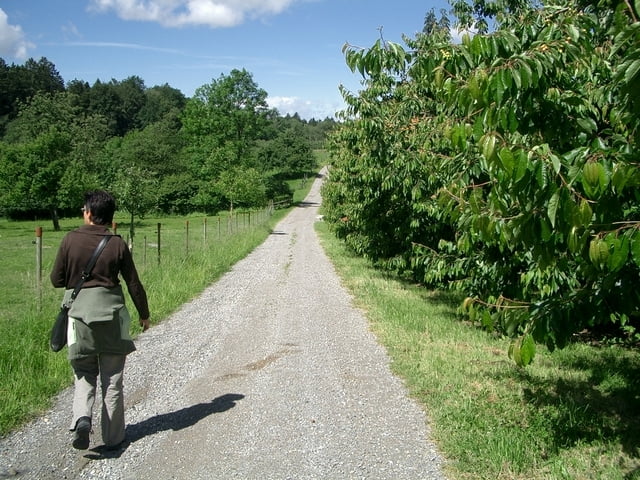 Hopfenwanderung beim Brauereigasthof Schöre 