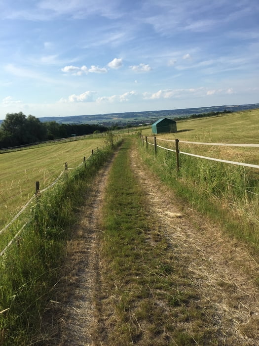 DGF004 Feierabendrunde Stadtwald-Grietzen-Edenthal