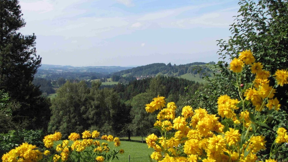 Iberger Kugel