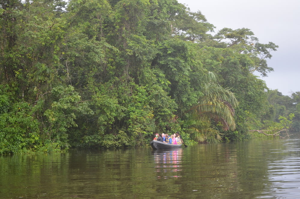 Tortuguero National Park Canoeing Tour