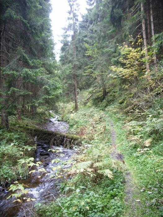 Bad Harzburg-Marienteich-Eckerstausee-Rabenklippe