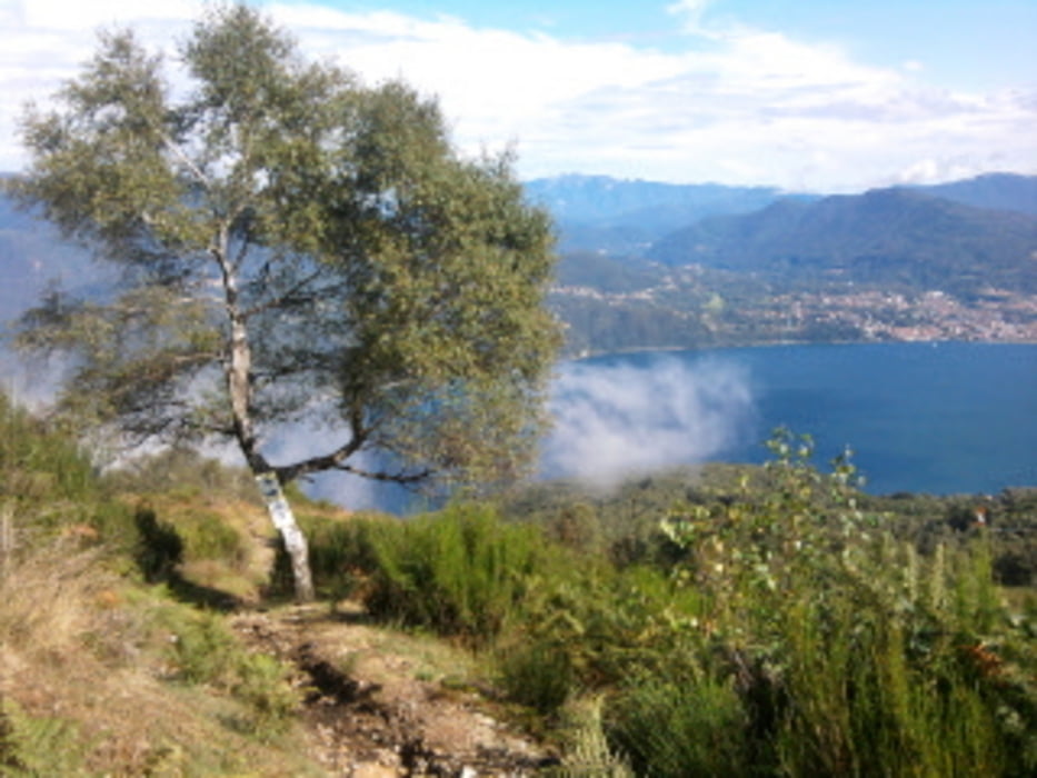 Cannobio Rampicarza Trail