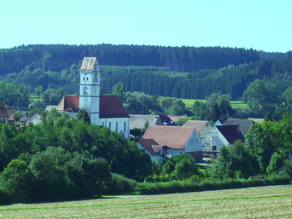 Steinberg Federsee