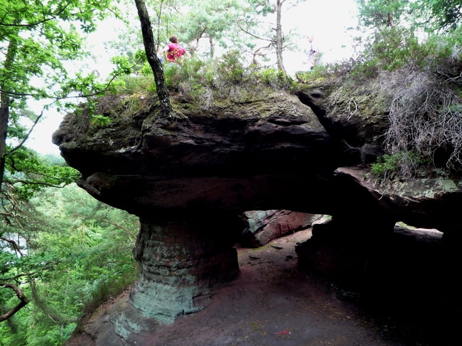  Felsenwaldtour