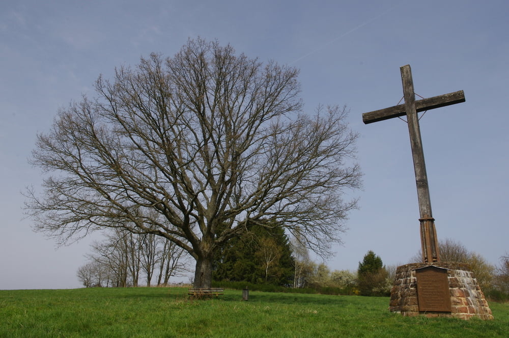 Klosterrunde