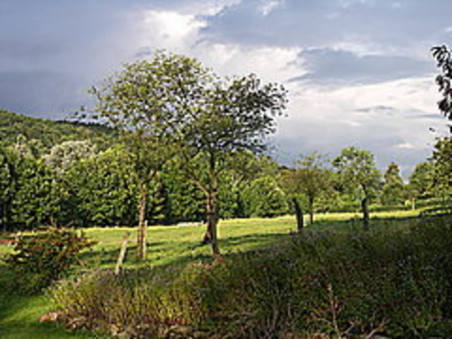 Voeren MTB 03