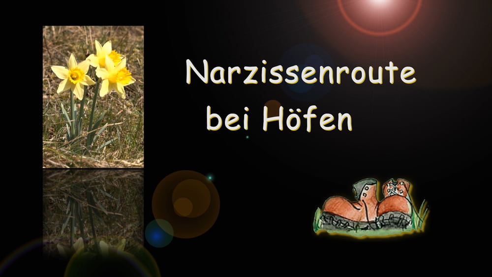 Narzissenroute Perlenbachtal & Fuhrtsbachtal