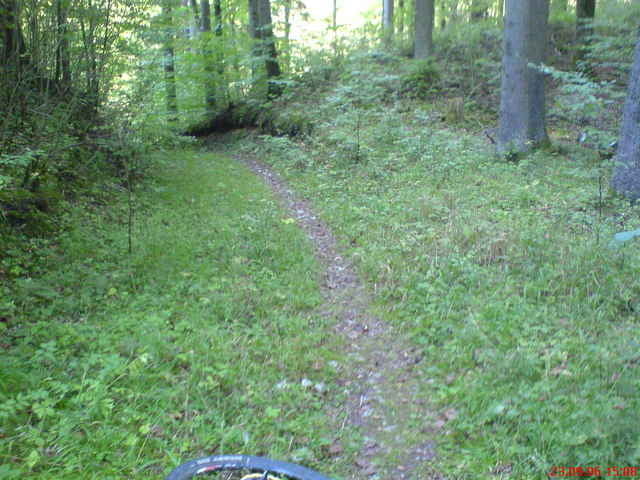 ODR Maximilian Grotto MTB ****