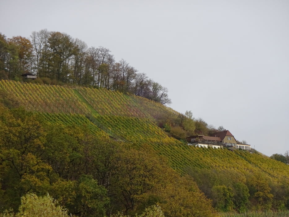 Wanderung in den Weinbergen der Stollburg