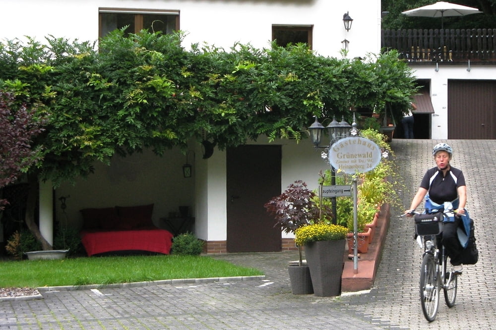 Mosel-Radweg von Zell nach Treis-Karden