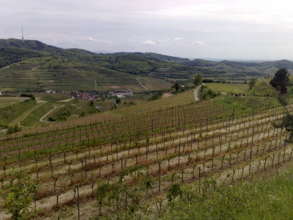 Kaiserstuhl Rundweg