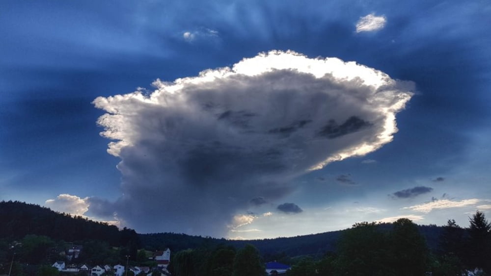 ein Sonnenschirm für den halben Odenwald