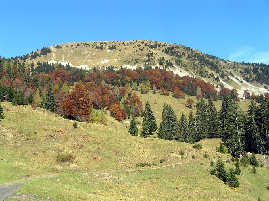 Hruški vrh