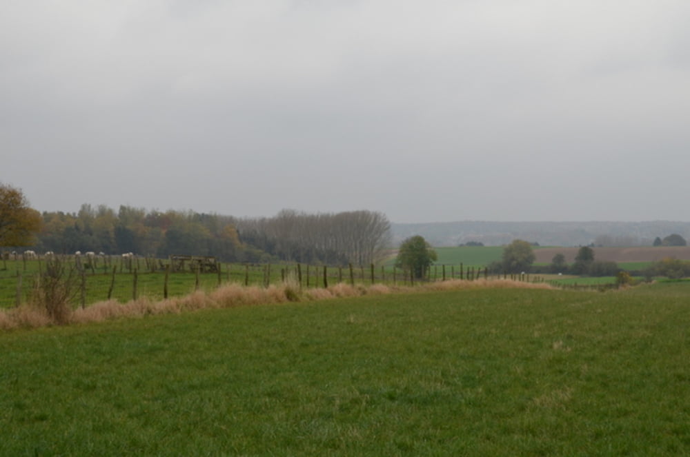 Bertem-Leefdaal
