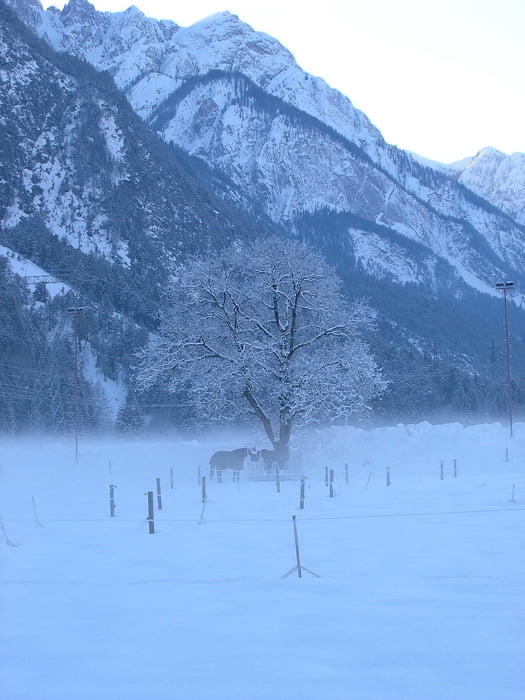 Dolomiten Lauf-Lienz 2009/25km_Austria