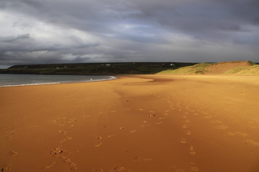 Redpoint