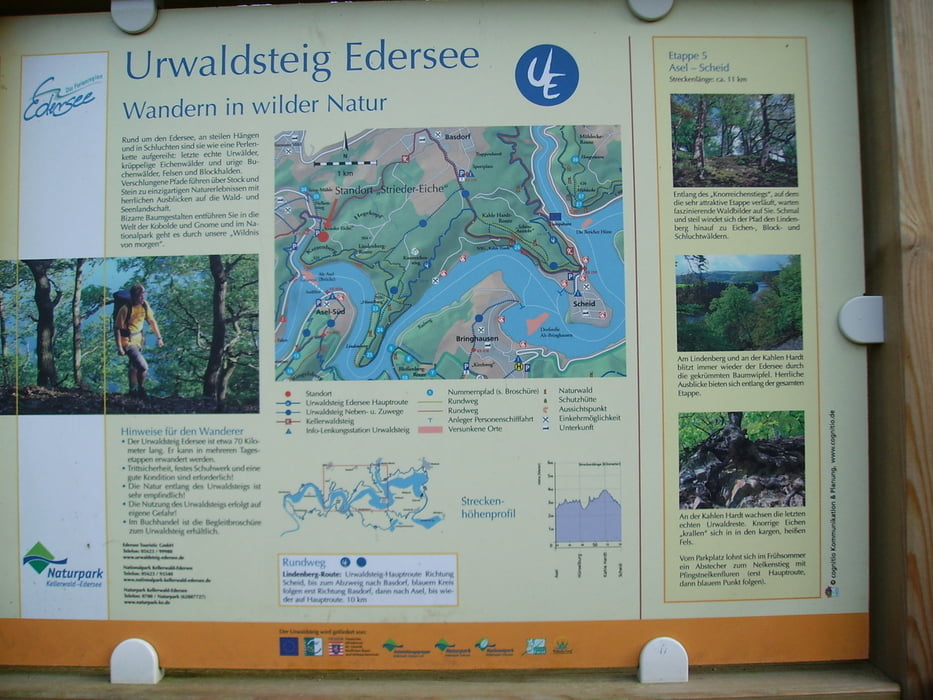  Urwaldsteig Edersee Lindenberg Tour 