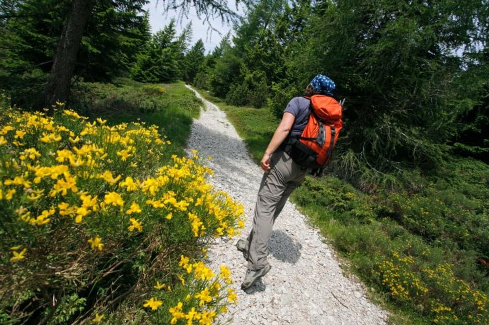 MALGA PLAZ