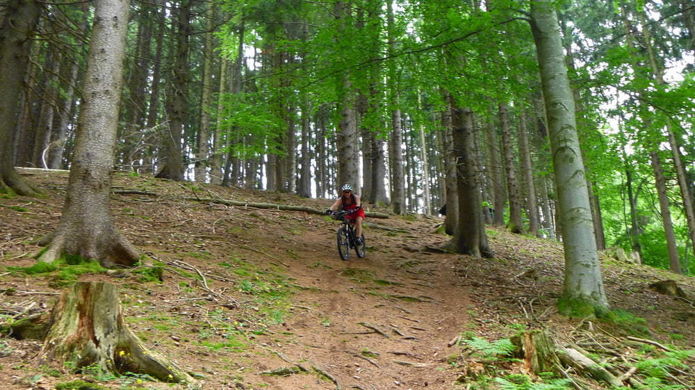 Oberallgäu: Kempten und Umgebung (Rundkurs)