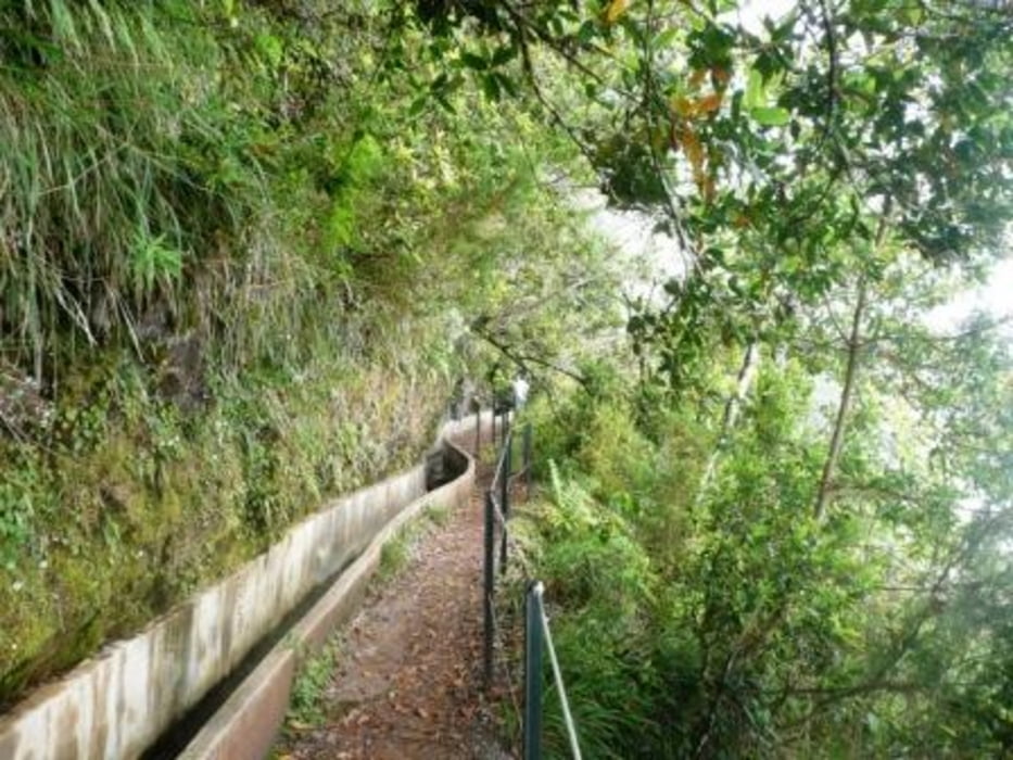 Rundwanderung Ribeiro Frio