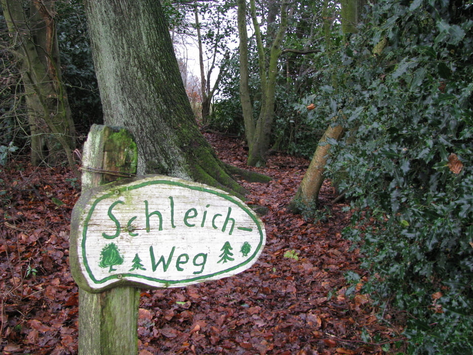 Von Dohrgaul ins Tal der jungen Sülz