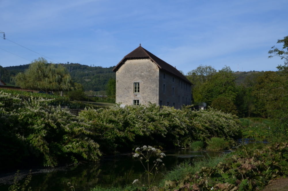 Mesnay - Arbois