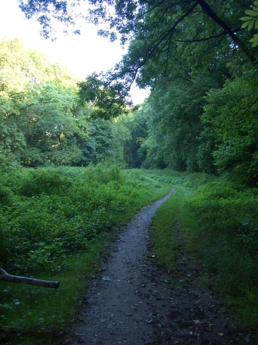 Von Markgröningen an der Glems entlang nach Hochdorf und zurück