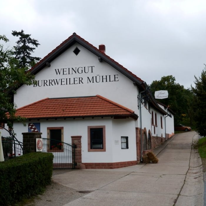 Pfälzer Rundwanderung mit Einkehr -  Burrweiler Mühle