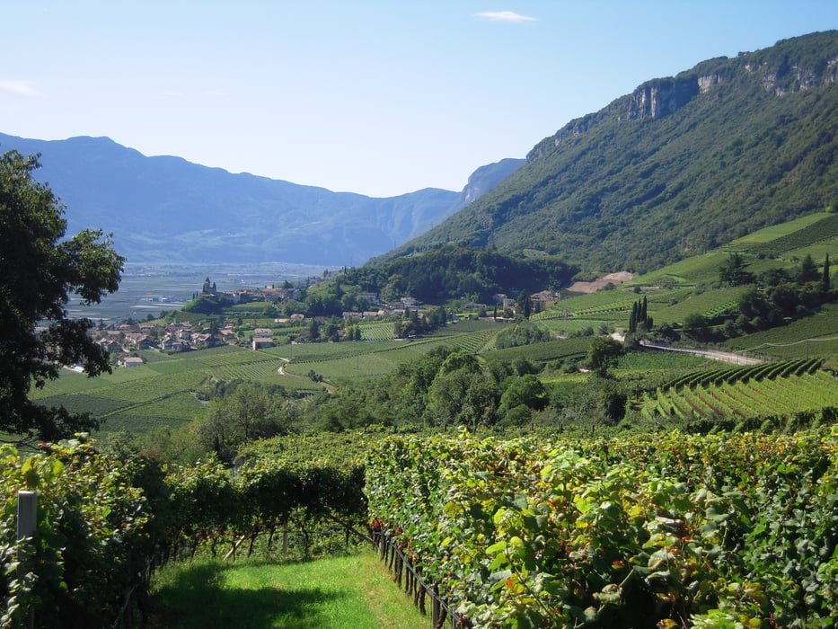 Tramin-Soell