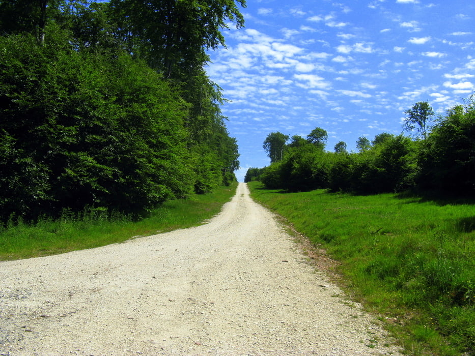 Runde am Erbeskopf