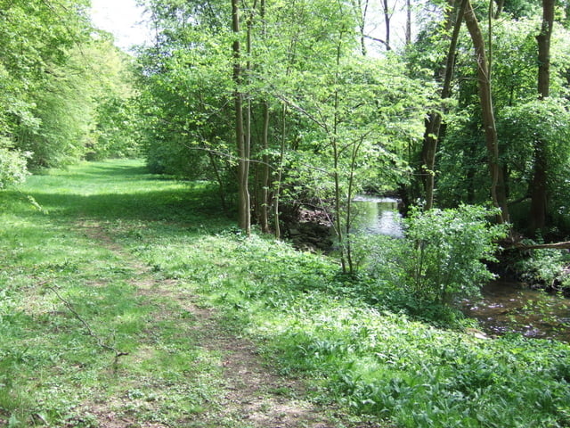 Natur pur