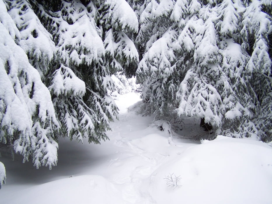 Schönlind>Schneeberg
