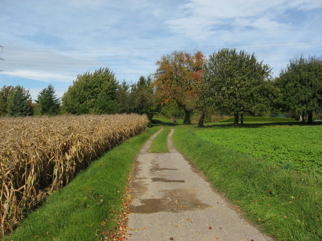 Rund um Waldangelloch