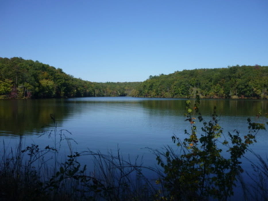 Lake Lurleen Trial Runde