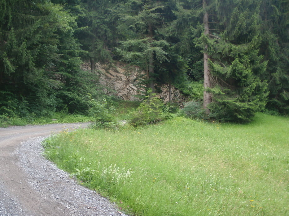 Bieketour kleine Nenzing Runde Rona Alpe