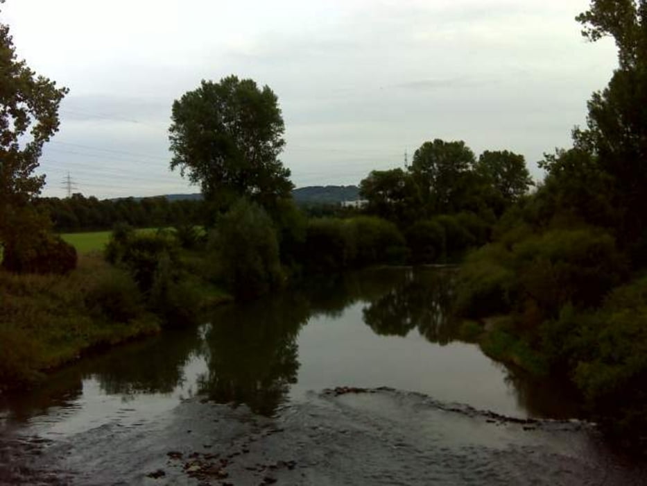 Ausfahrt an den Neckar