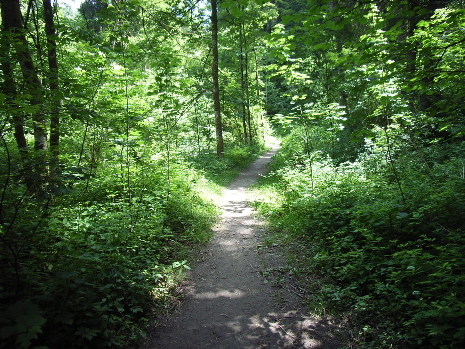 Von Eglofs entlang des Ellhofner Tobelbach