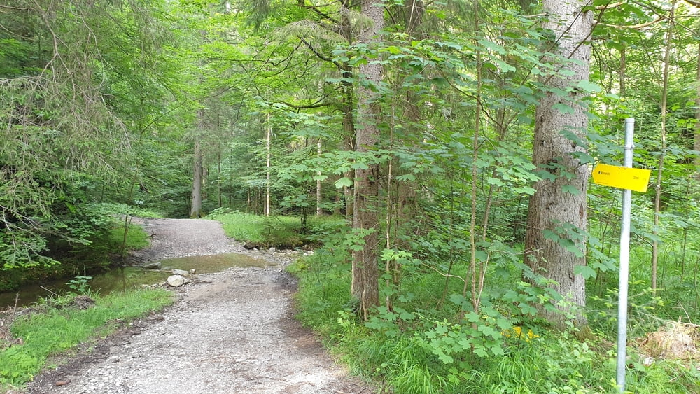 Moser Bike Guide 8 - Genußtouren Oberbayern 2 - Tour 11 - Schlierseer Schliersberg-Umrundung