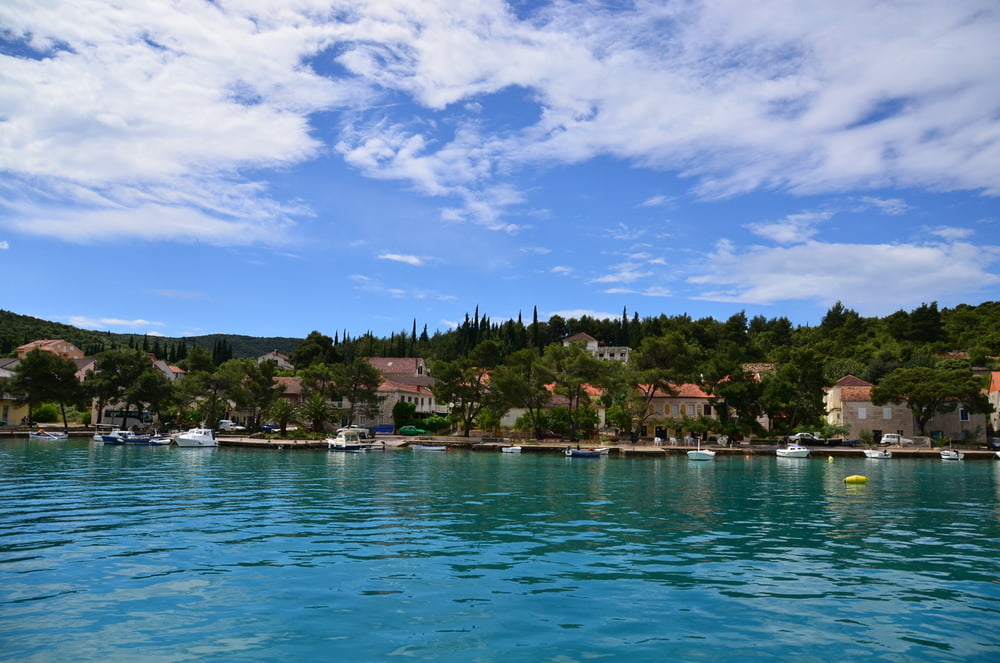 Loviste - Trstenik