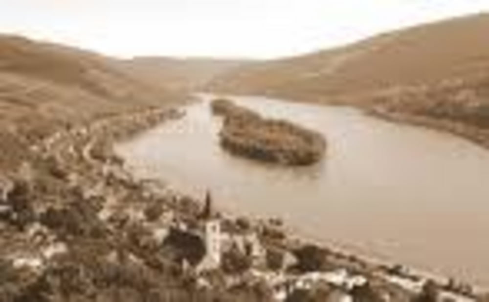 Rüdesheimer Panoramaweg