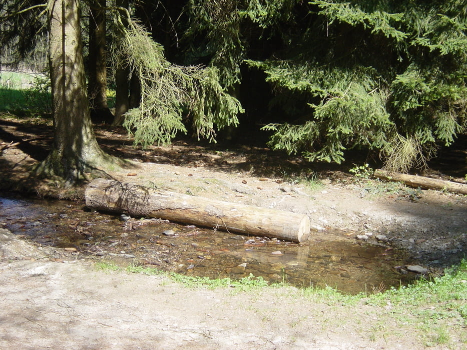 Feldi von Delkenheim aus